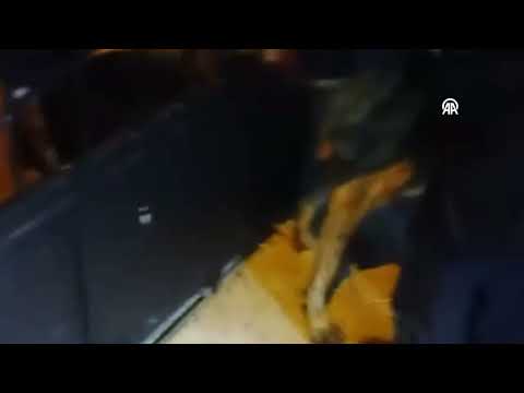 Sivas'ta Demir Kapının Parmaklıklarına Sıkışan Köpeği İtfaiye Kurtardı