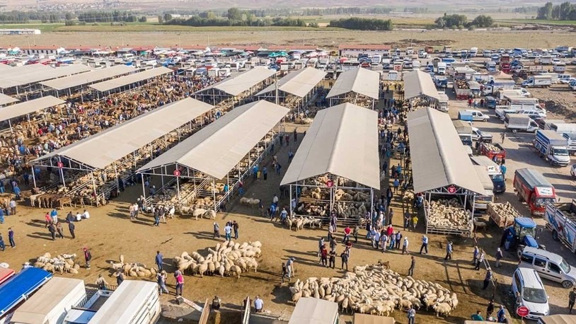 Şap tehlikesiyle kapatılmıştı! Şarkışla Hayvan Pazarı ne zaman açılacak?