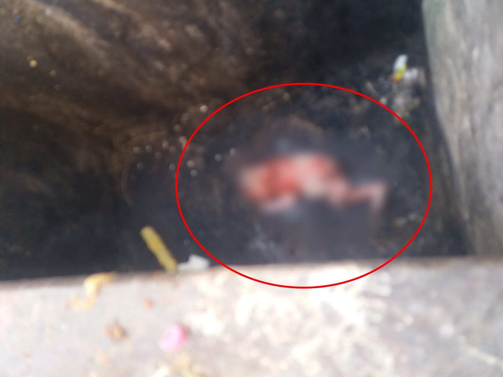 Bebeği çöp konteynerine atan "anne" gözaltına alındı