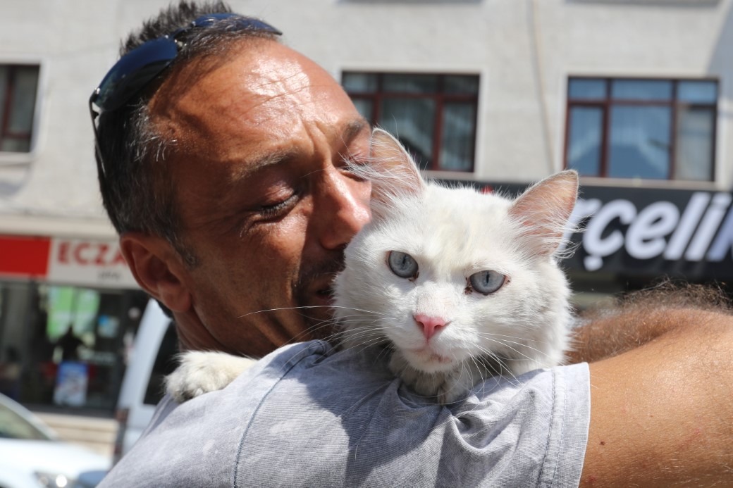 Günlerdir aradığı kedisine kavuştu!