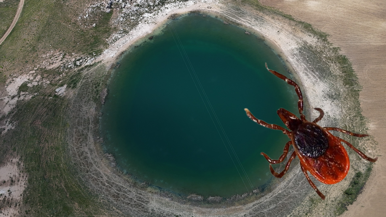 Sivas'ın Doğa Harikaları Kenelere Teslim: Turistler Uzak Duruyor