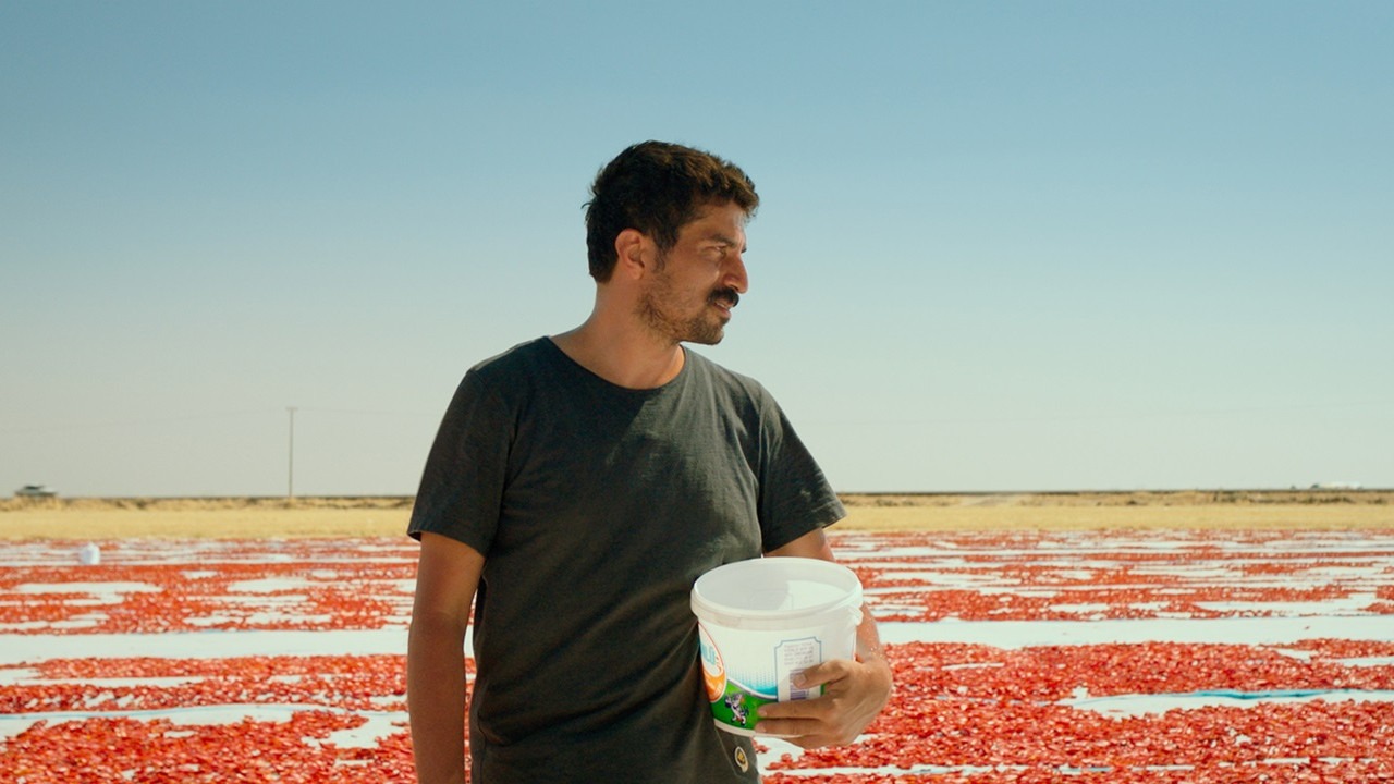 Türkiye'nin Oscar adayı: ‘Hemme'nin Öldüğü Günlerden Biri'