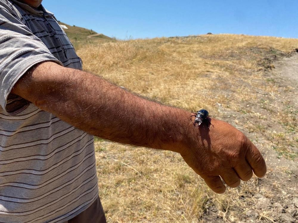 Öldürmenin cezası 557 bin TL, Sivas'ta görüldü