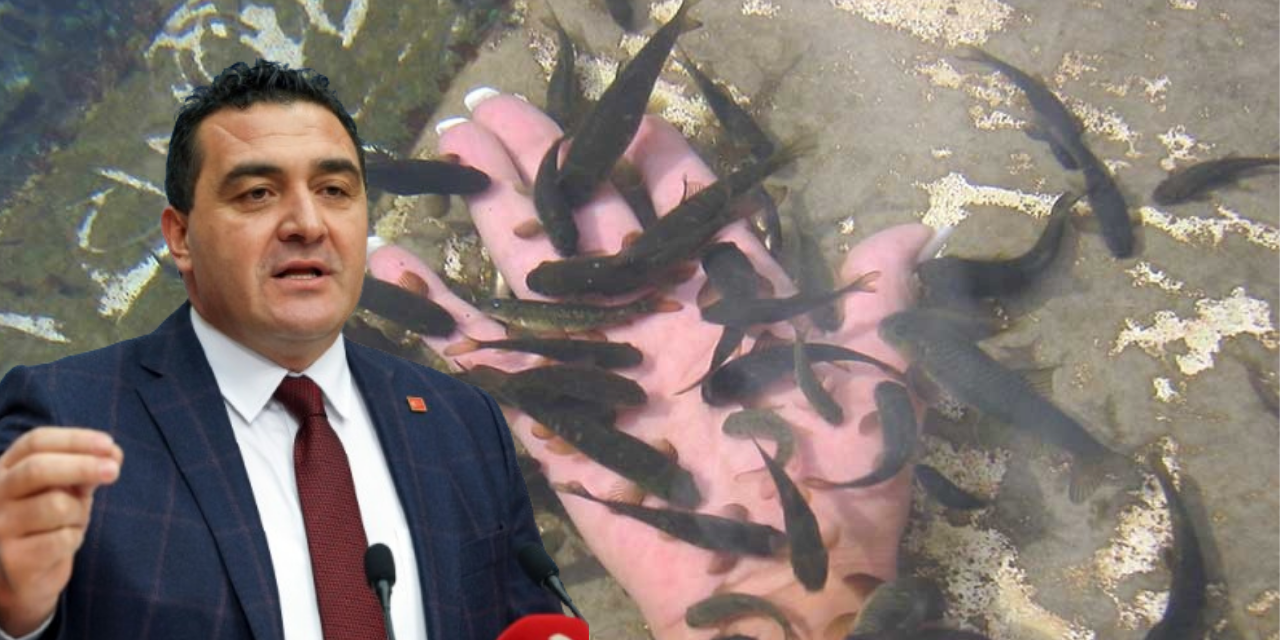 “Doktor Balıklar”  Meclis gündeminde