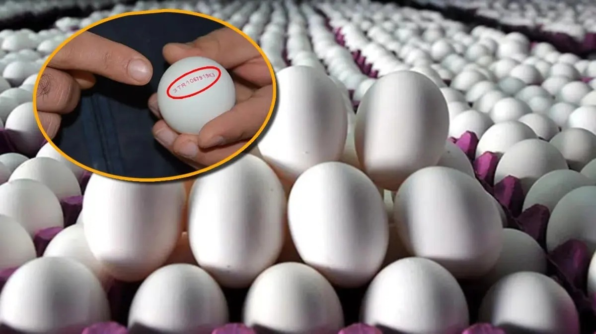Yumurtaların üzerinde son kullanma tarihi yazmayacak!