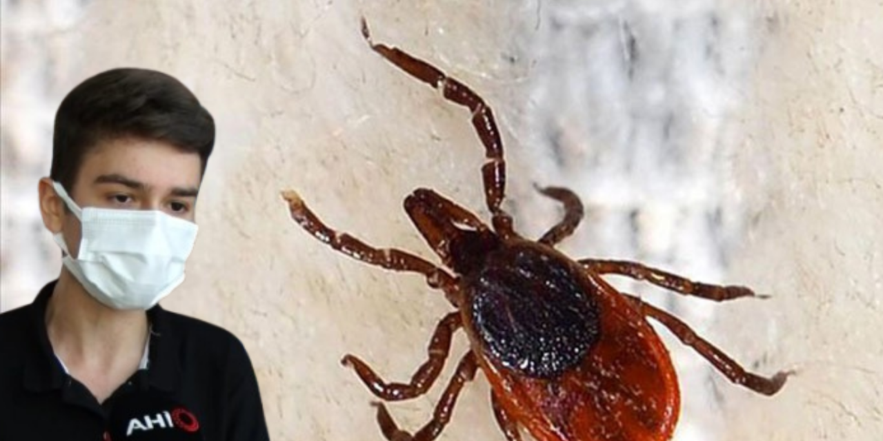 Cenaze için Sivas'a gelmişti! Kene kabusunu yaşadı!