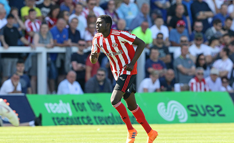 Sivasspor'a İsveçli forvet!