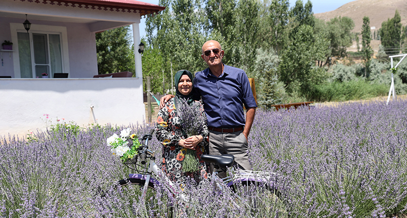 Astımlı Eşine Şifa Olsun Diye Sivas'a Yerleşti, Şimdi Lavanta Üreticisi