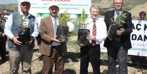 Sağlık için fidan