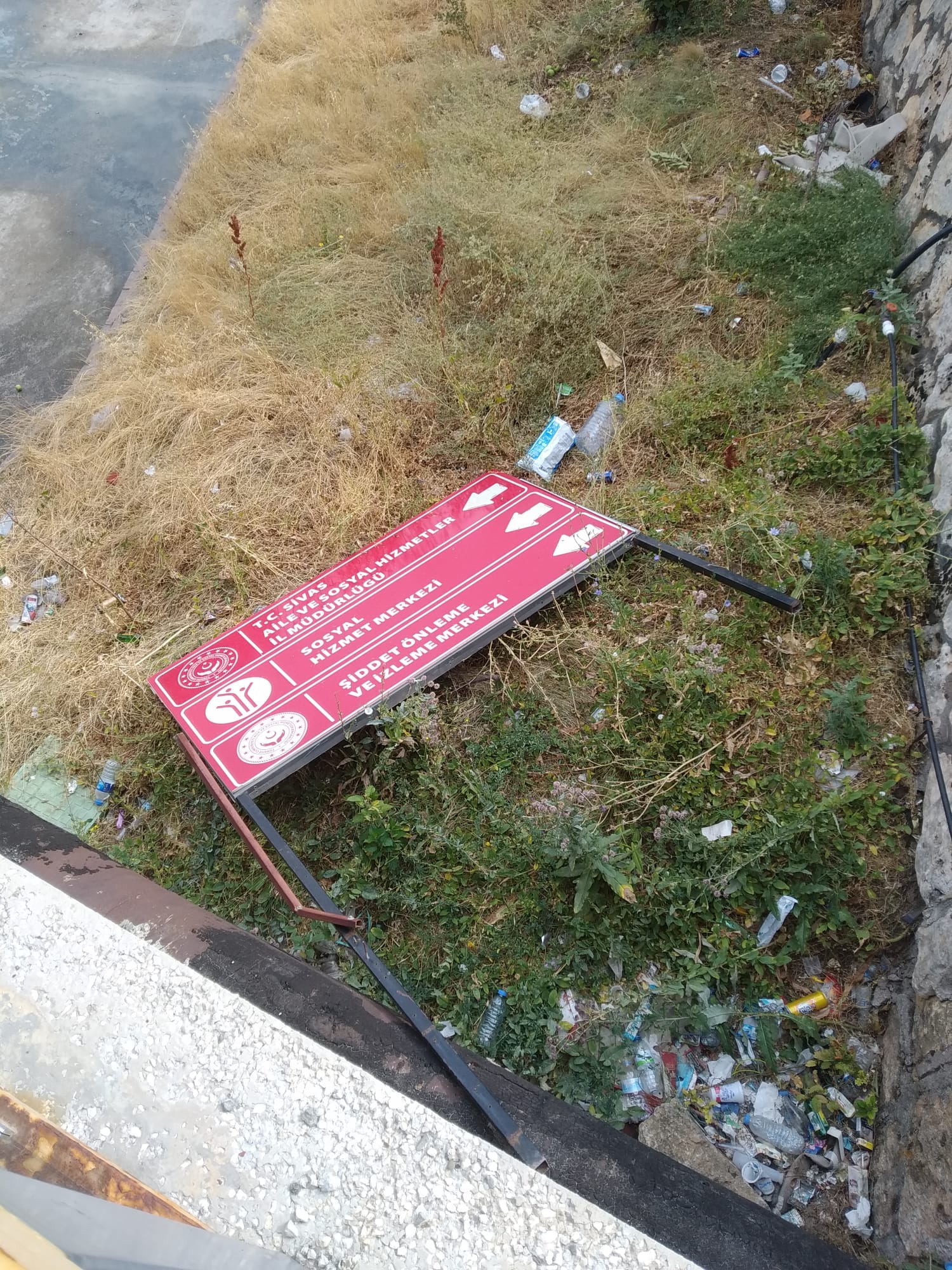 Sivas’ta “Aile” Kurumu Yerlerde Sürünüyor… Gözler Özgür Müdürde!