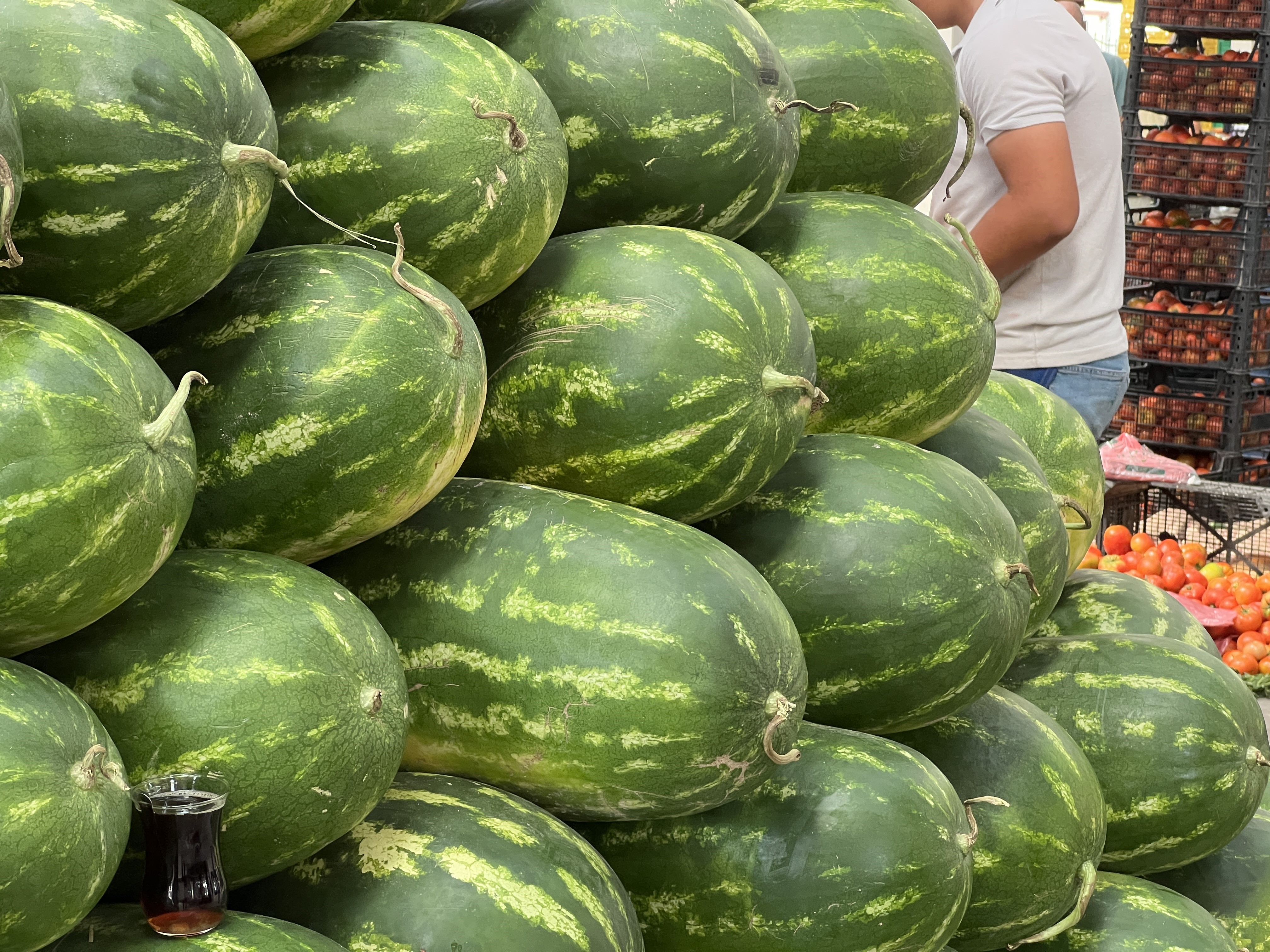 Yapay zeka karpuz seçimine başladı!