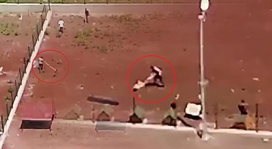 Belediyeye ait barınakta köpeklere şiddet uyguladılar!