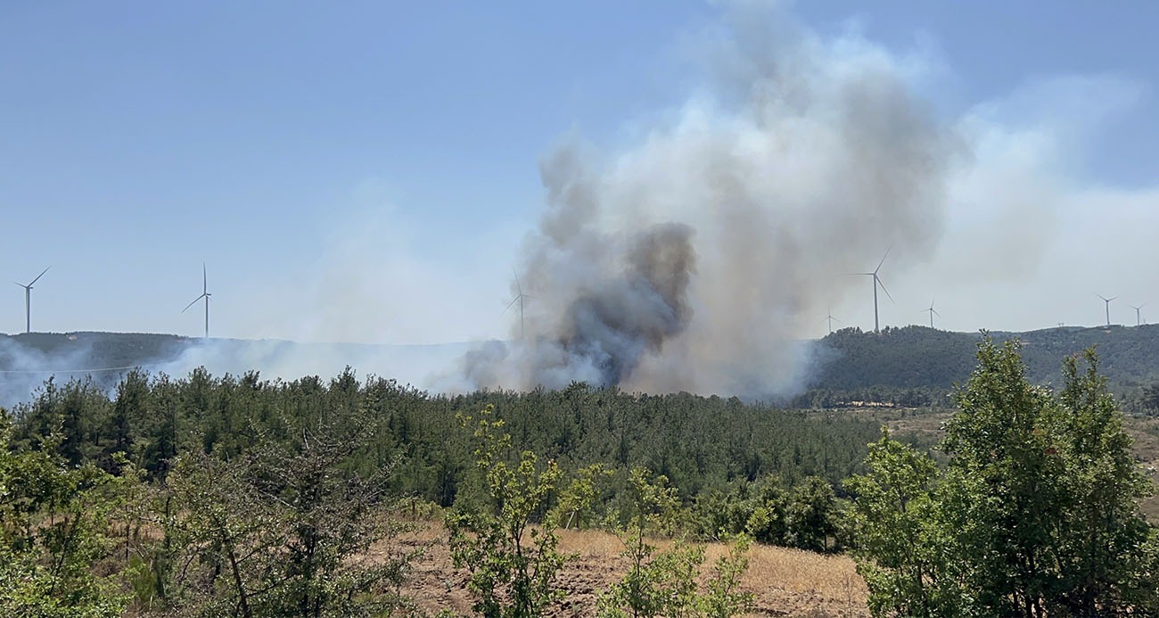 Çanakkale’de tekrar yangın çıktı!