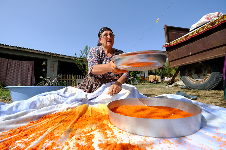 Kışlıkların tam zamanı
