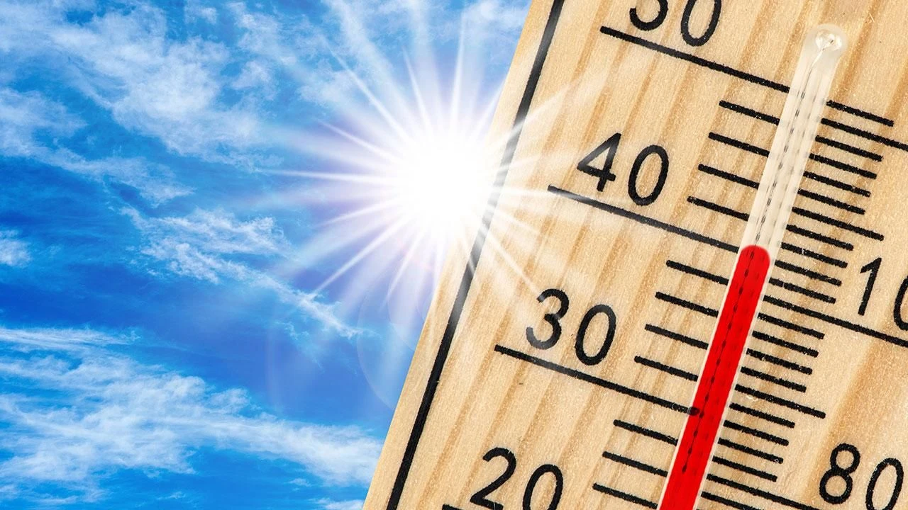 Aşırı sıcaklar 2 binden fazla can aldı