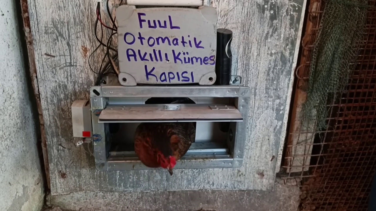 Bu kümes başka! Sivaslı mucitten ilginç buluş...
