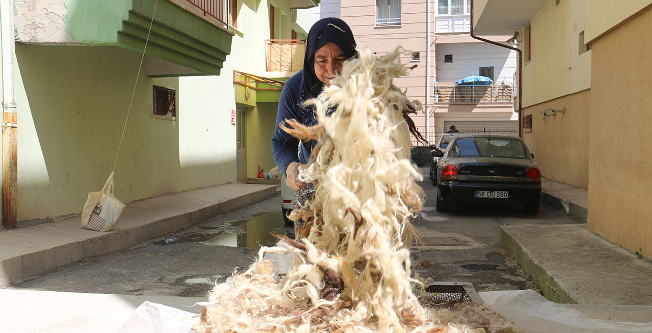 Yün temizlikleri başladı! Sivas'ta görmeye alışık olunan manzaralar...
