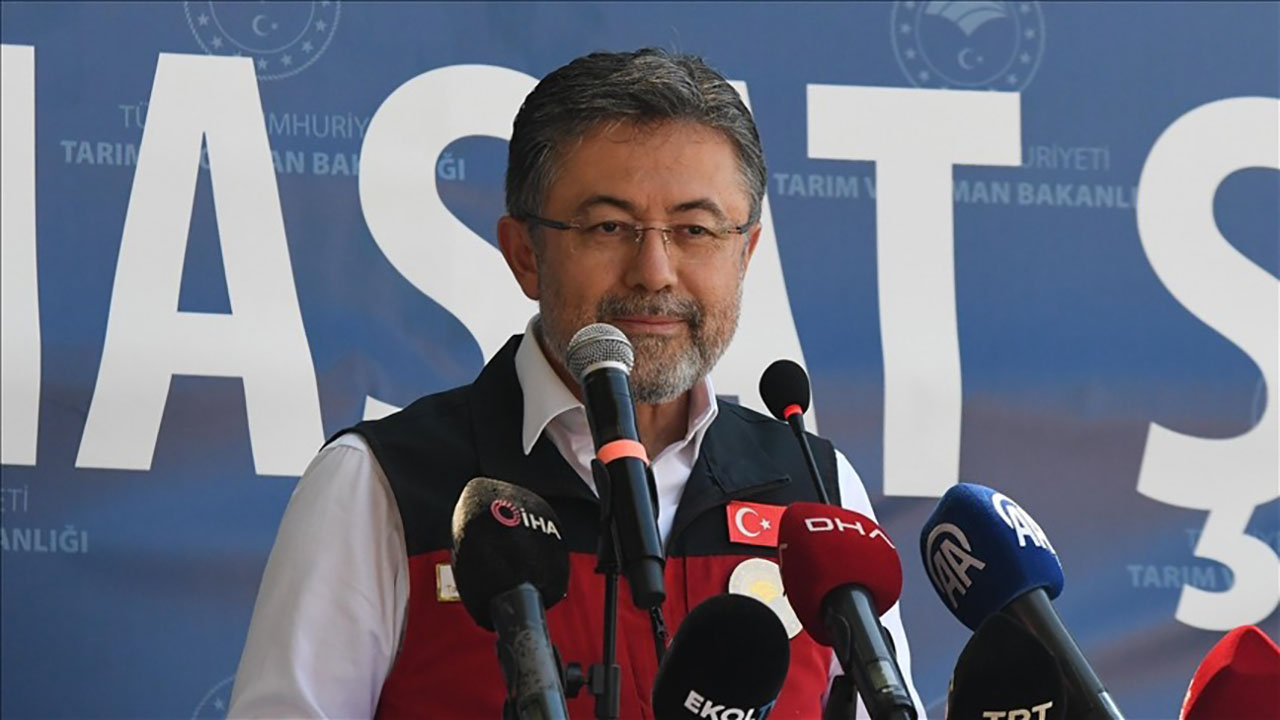 Üreticilere fındıktaki zirai don zararı için 2,3 milyar lira tazminat