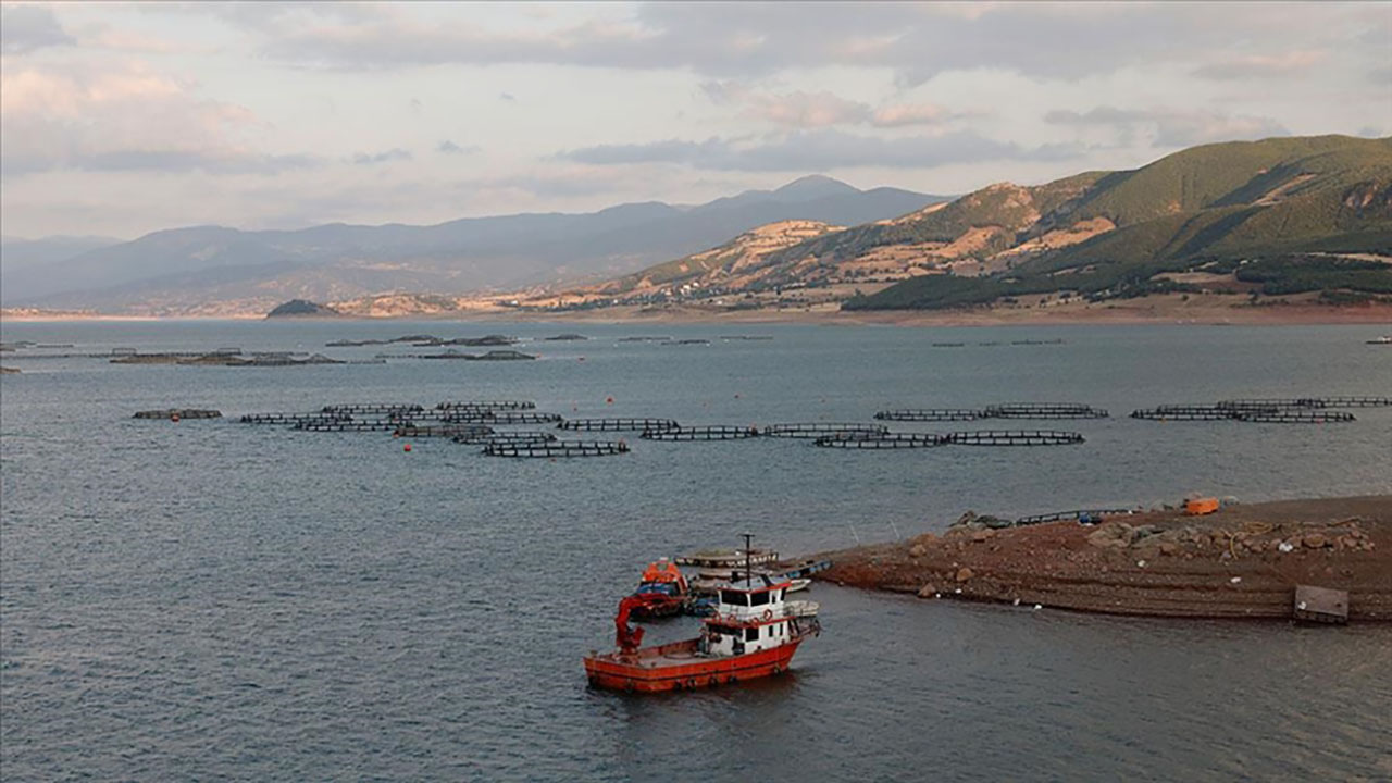 Tokat'tan Norveç, Hollanda, Rusya ve Japonya'ya balık ihracatı