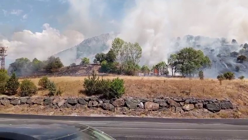 Sivas'ta makilik alanda yangın!