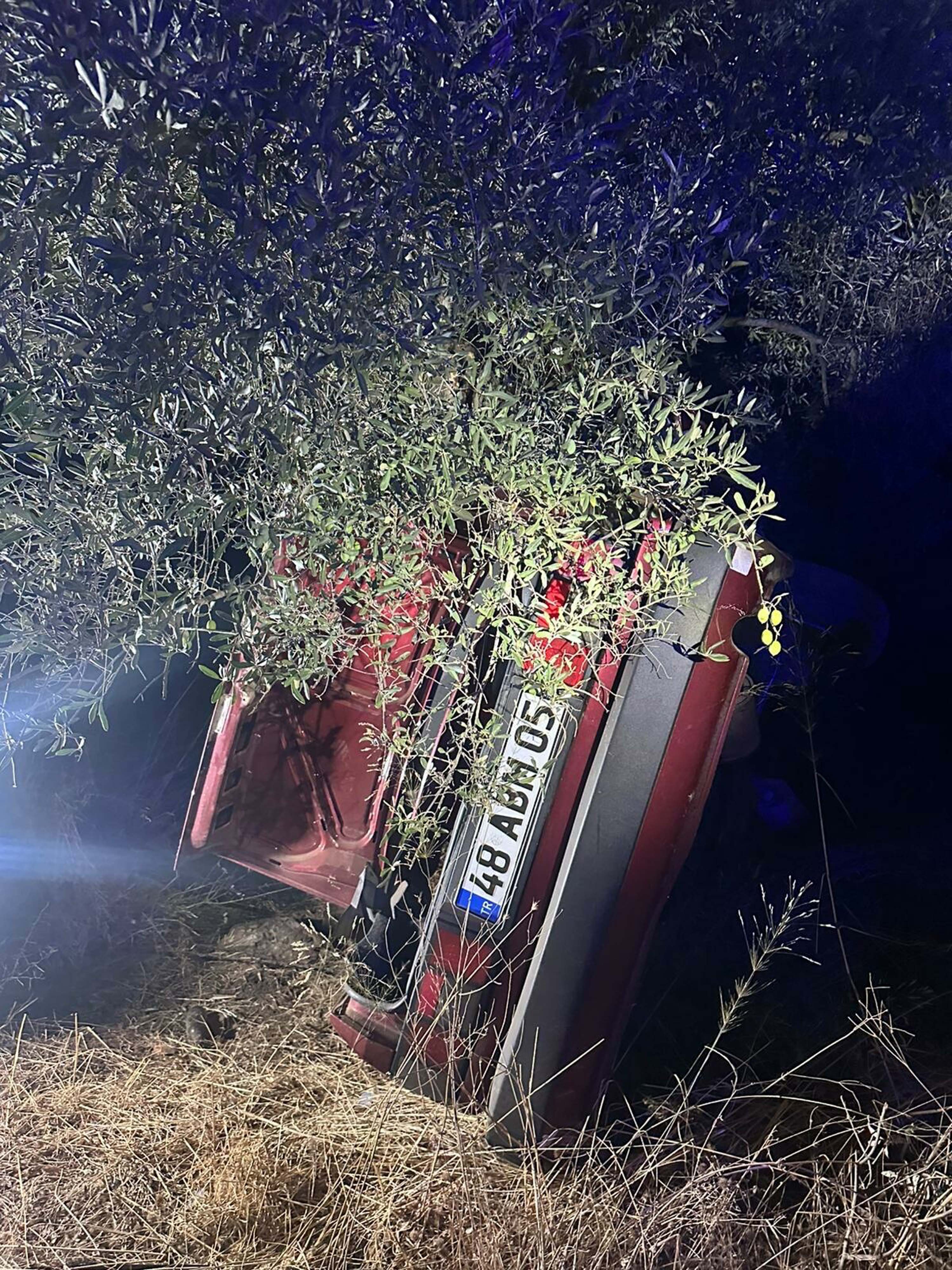 Takla atıp, ağaca çarpan otomobildeki 2 kişi öldü