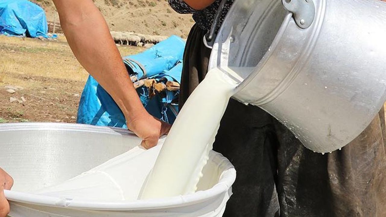 Sivas'ın Sütü Başka İllere Katma Değer Kazandırıyor, Sivas Seyrediyor!