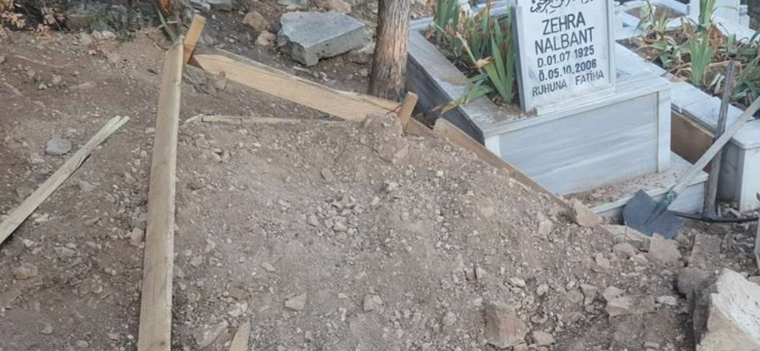 Sivas’ta Ayı Mezarı Tahrip Etti