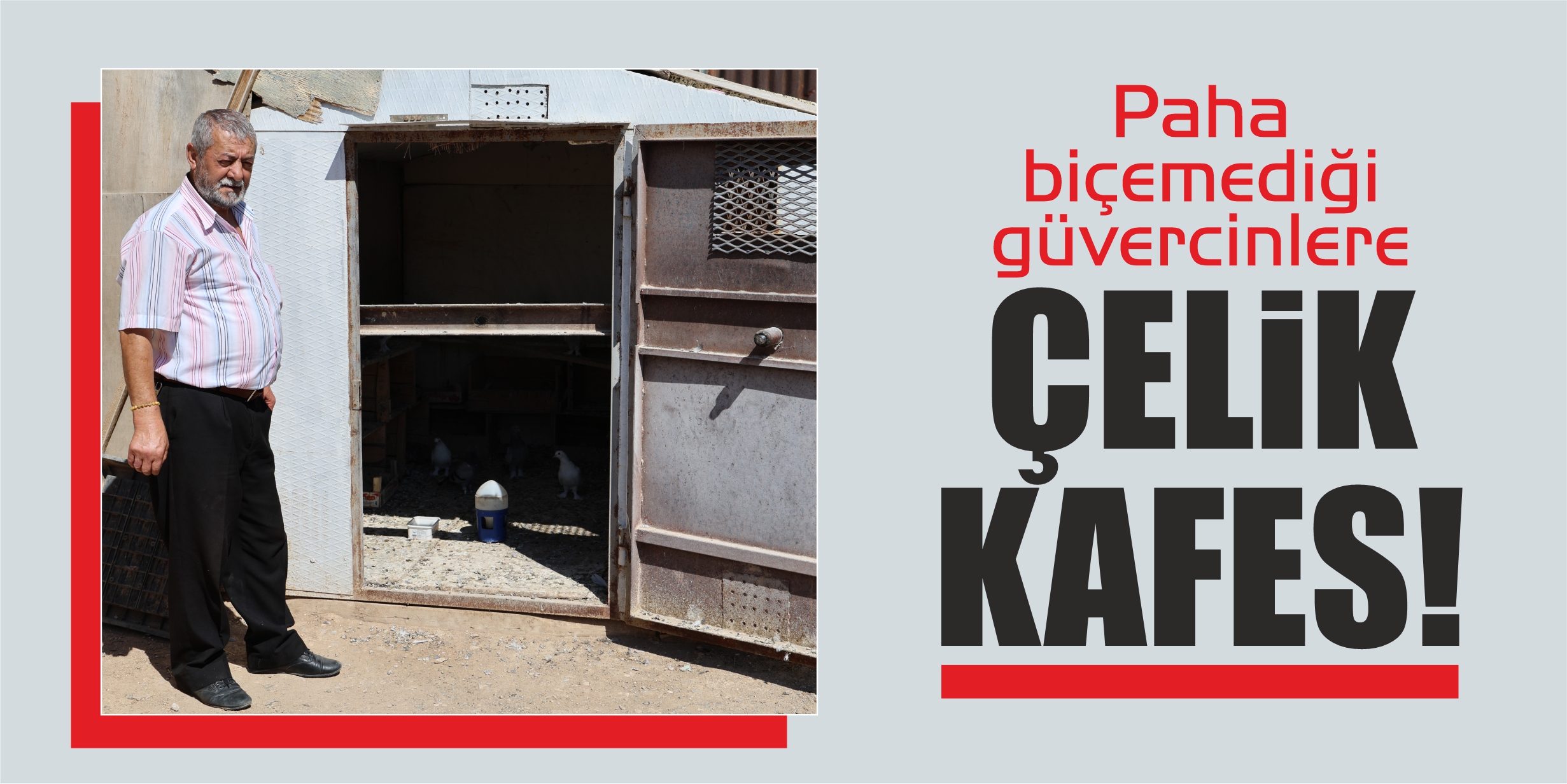 Paha biçilemeyen güvercinlere çelik kafes!