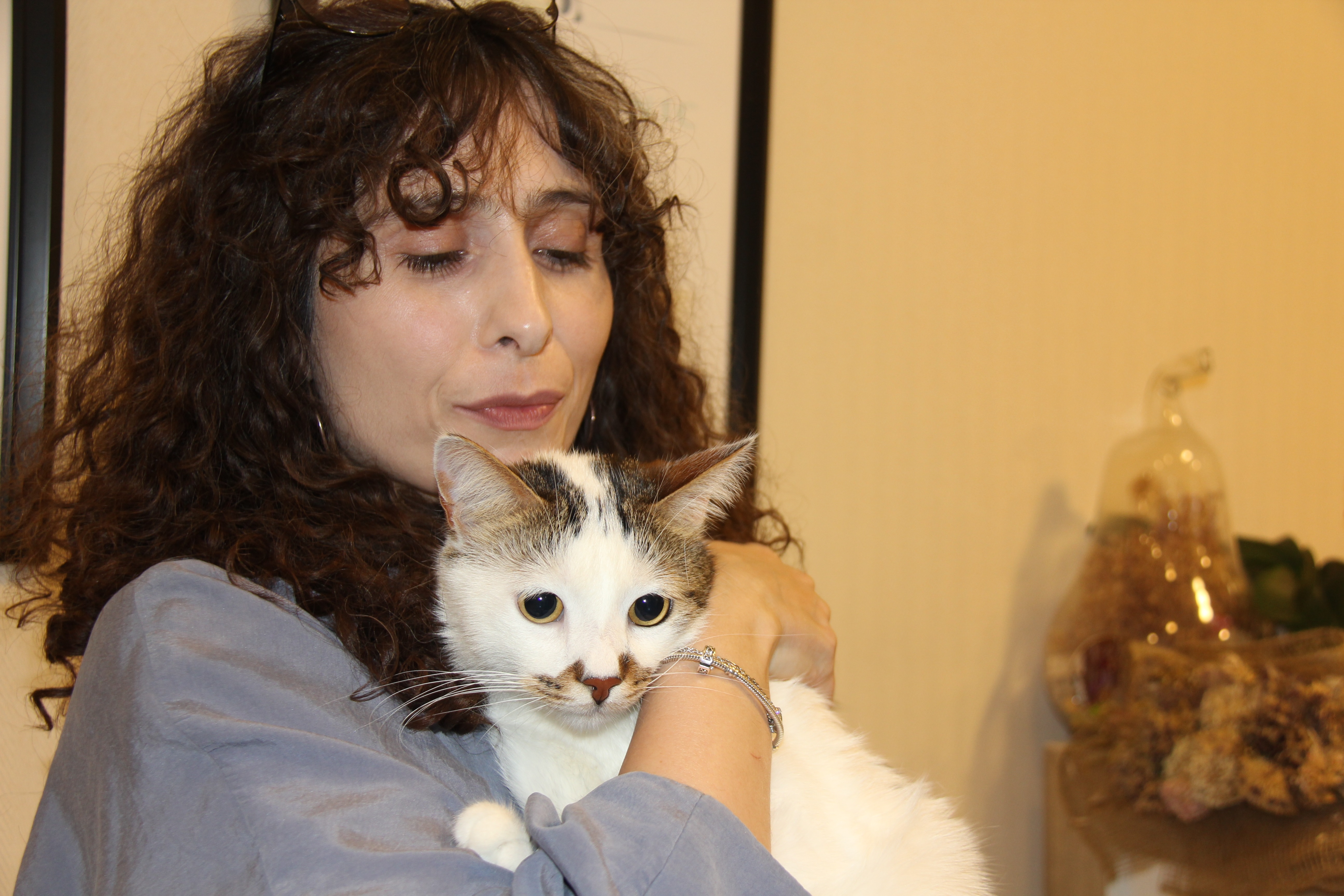 Bursa’dan Sivas’a taşınan kedi "Paşa" depresyona girdi