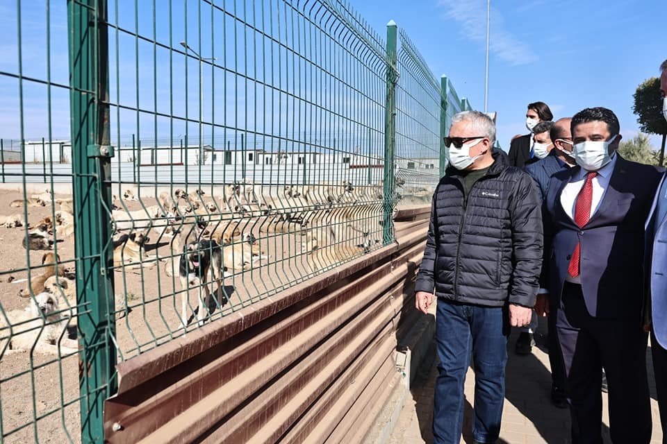 Sivas’ta Sokak Hayvanları için Yol Haritası Belirlendi