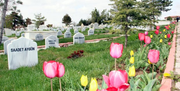 Her Yıl 4 Bin Kişi Hayatını Kaybediyor