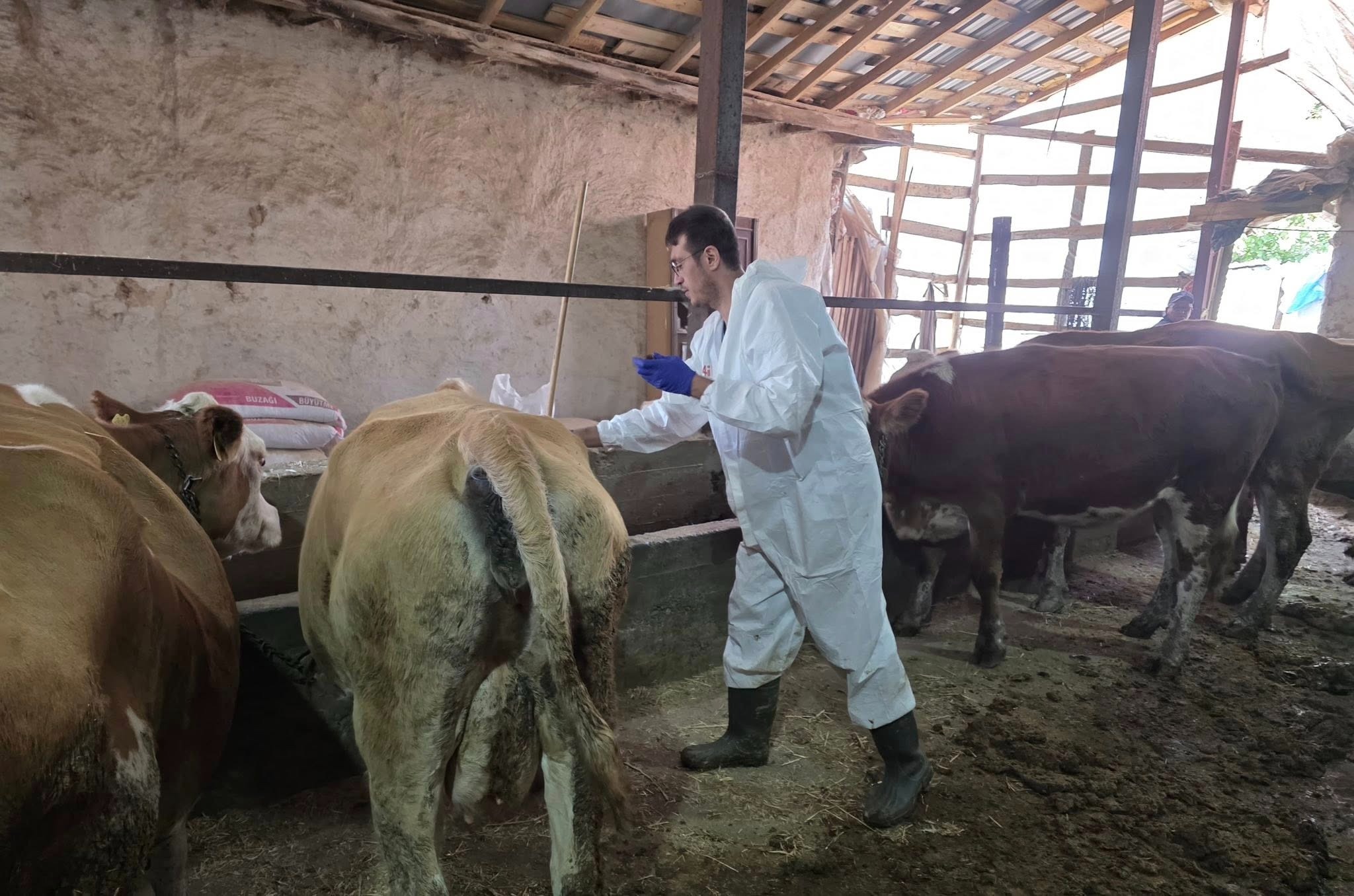 Hayvan pazarı kapatılmıştı! Sivas Tarım ve Orman Müdürlüğü’nden Şap hamlesi
