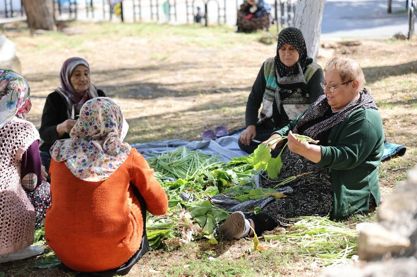 Sivas’ta kış hazırlıklar başladı!