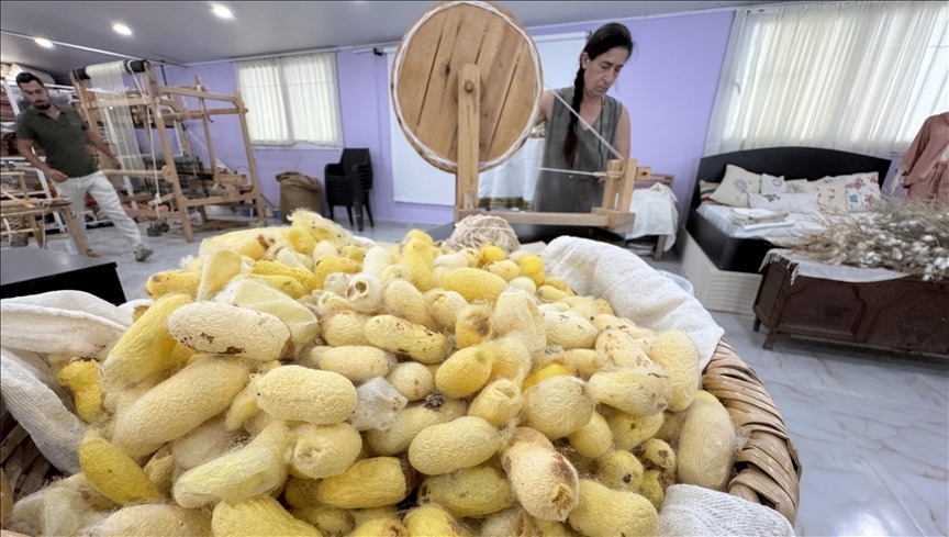 Depremde kurtardığı böcek yumurtaları gelir kapısı oldu