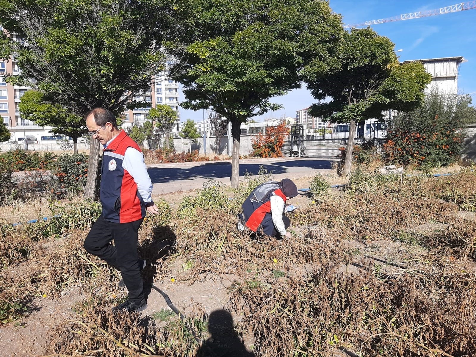 Karadeniz’in korkulu rüyasıydı...  Sivas’ta  da görüldü