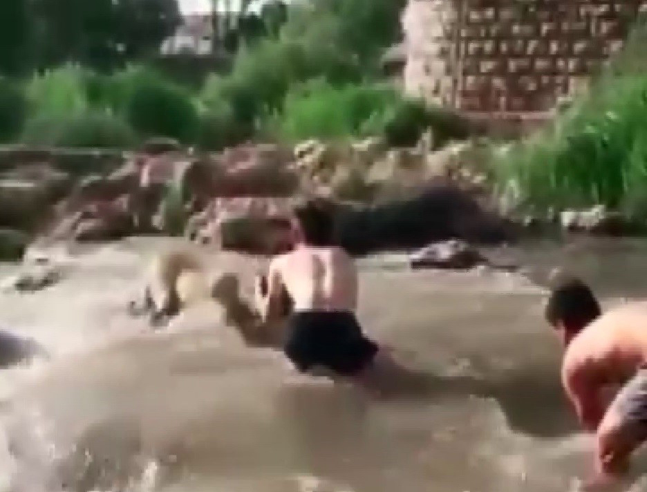 Sivas’ta ırmağın ortasında mahsur kalan anne köpek kurtarıldı