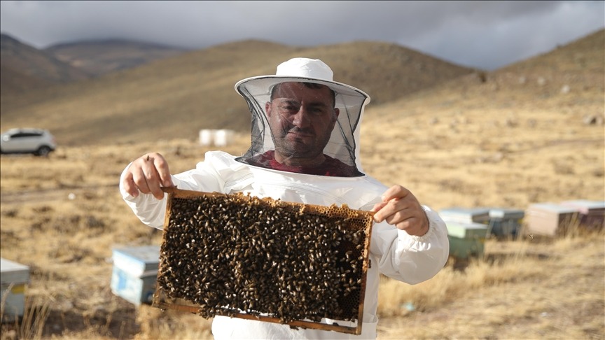 Dede mirası arıcılığı üçüncü kuşak temsilcisi