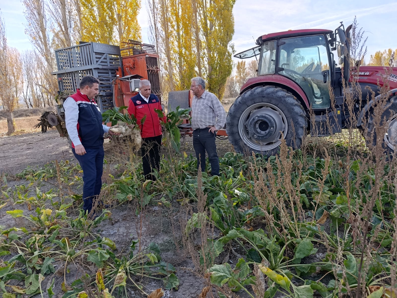 Sivas’ta şeker pancarı hasadı başladı