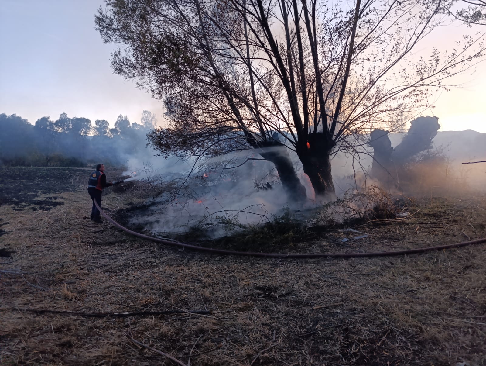Sivas'ta çıkan yangında 200 ağaç zarar gördü!