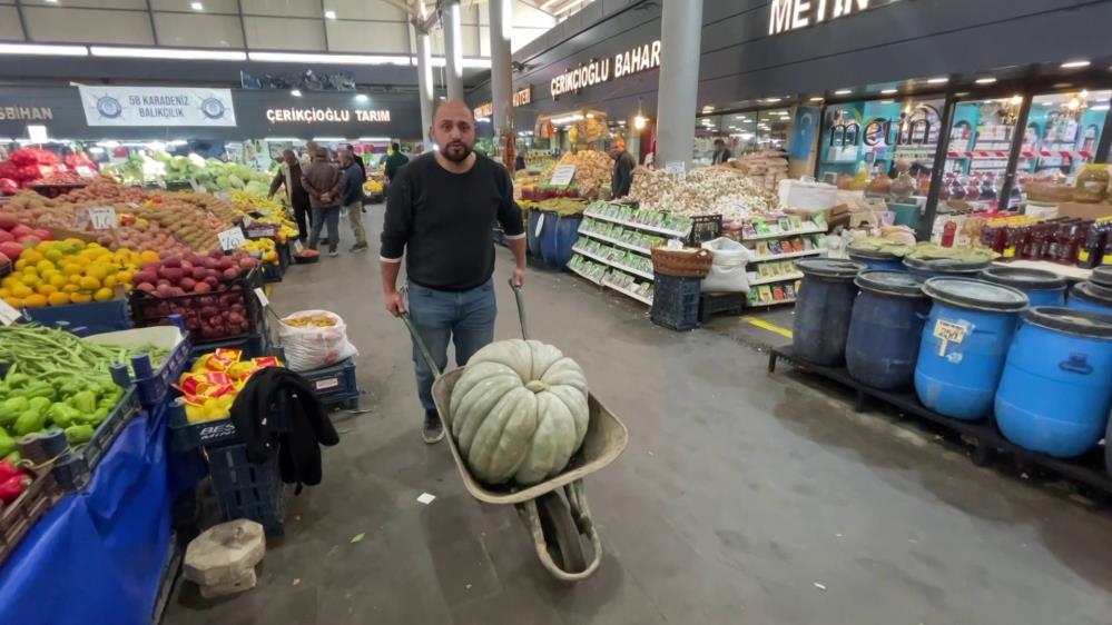 Sivas’ta 60 Kiloluk Dev Bal Kabağı Görenleri Şaşkına Uğrattı