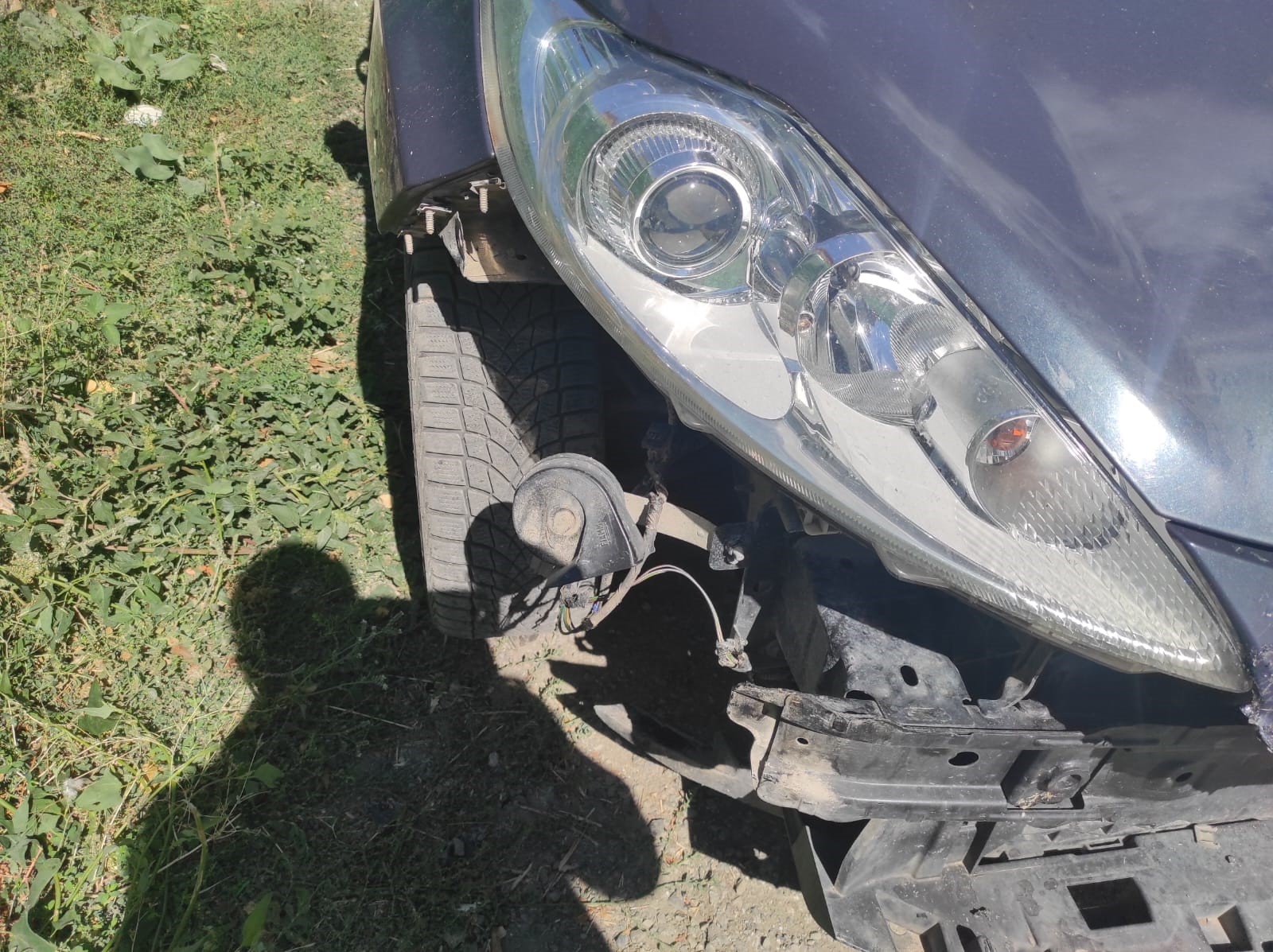 Sivas'ta başıboş köpekler park halindeki araca zarar verdi!