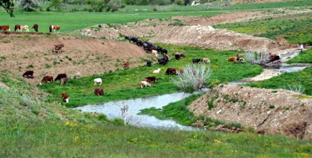 BARAJ SUYU KİRLENİYOR