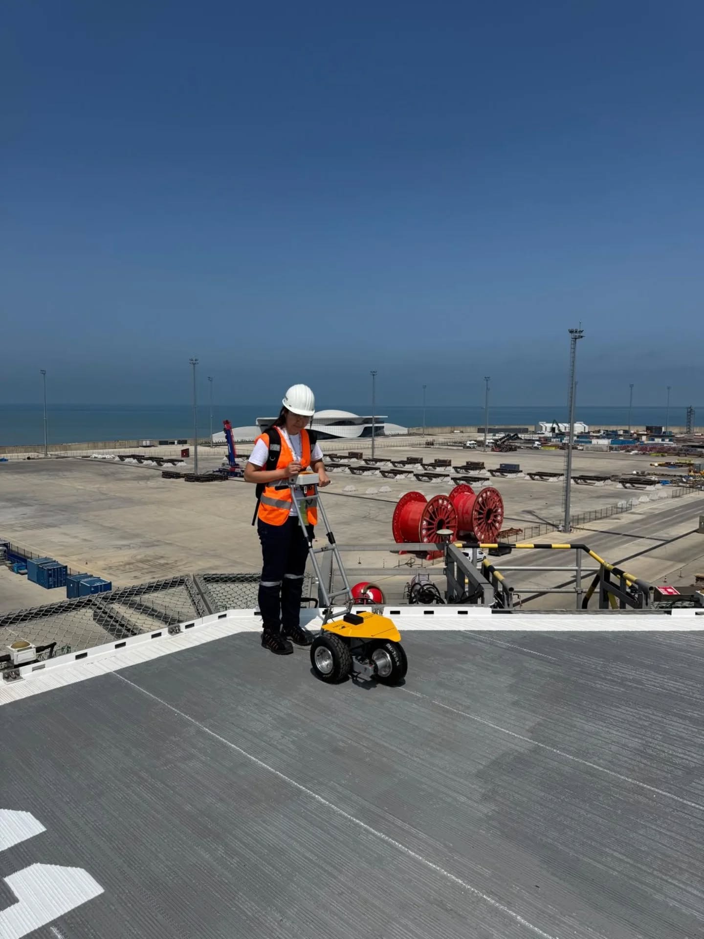 Sivaslı Akademisyenin Makalesi Cambridge Dergisinde!