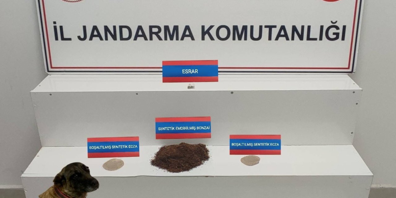 Uyuşturucu operasyonunda 2 şüpheli gözaltında