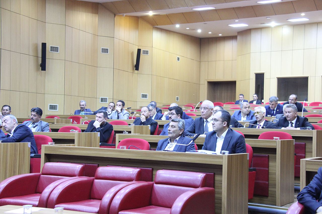 Sivas İl Genel Meclisi'nde siyasi renkler birleşti