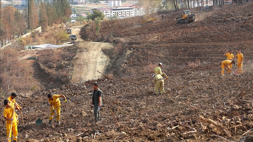 Bir günde 44 bin 50 fidan toprakla buluşturulacak