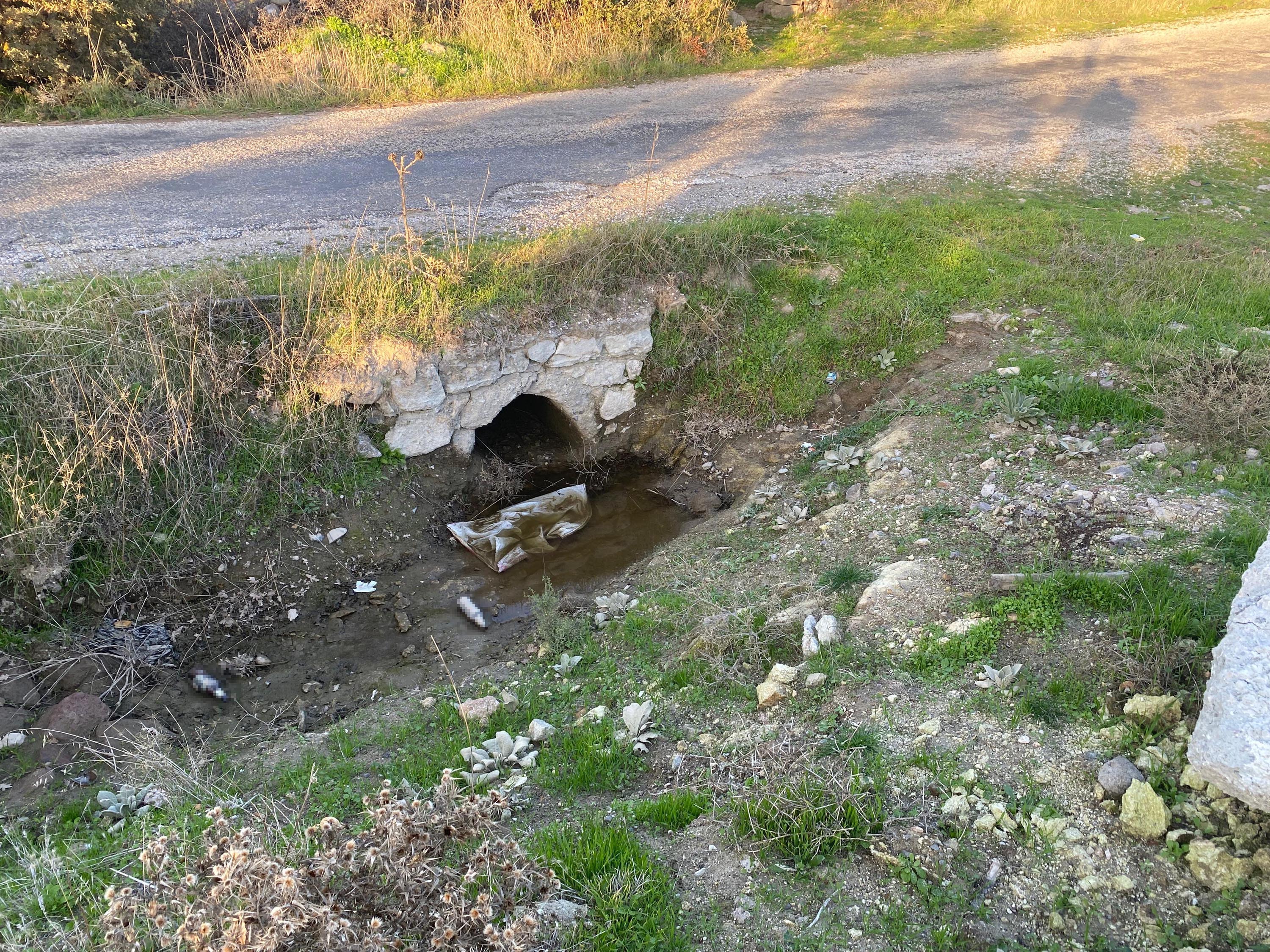 Boş arazide bulunan bebek cesedi ile ilgili 1 gözaltı