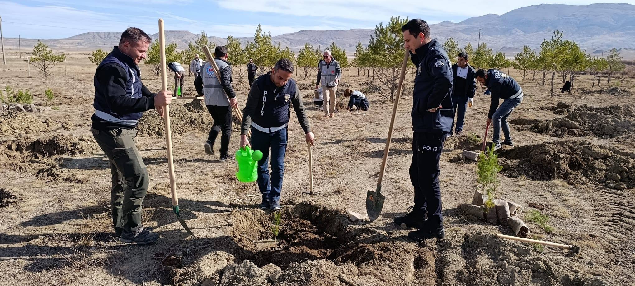 Sivas'ta fidan dikimi seferberliği!