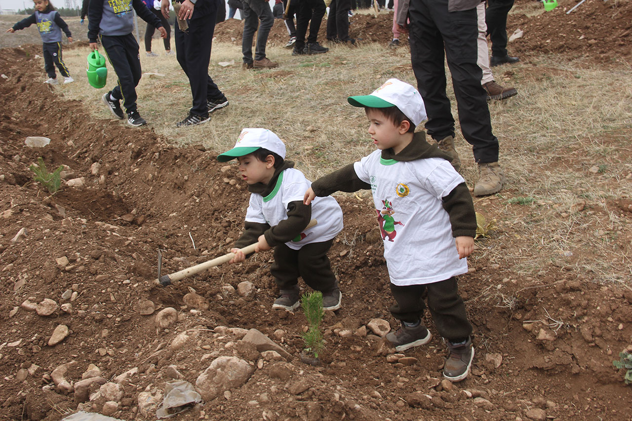 Zara'da fidanlar toprakla buluşturuldu