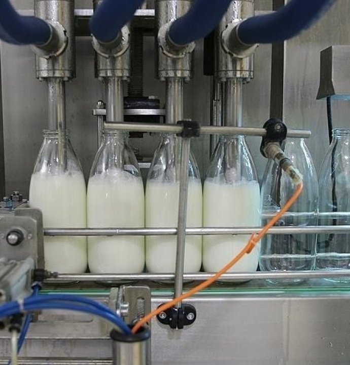 Binlerce ton süt toplandı